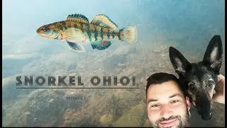 SNORKEL OHIO #2 В погоне за дроздами на Кокосинге!