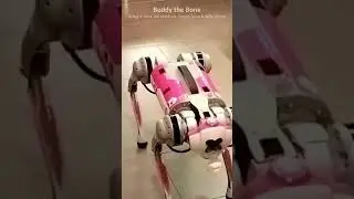 Interaction Design: Robot Dog UI