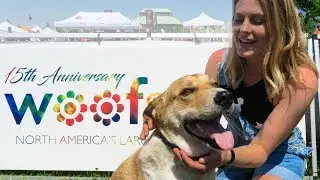 WOOFSTOCK & DOG BOW TIE HAUL | InRuffCompany.com