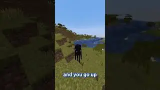 The Spectate command is CRAZY