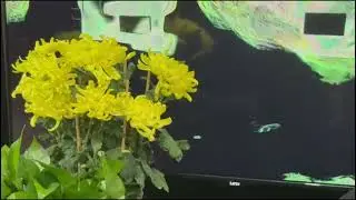 twisted flower