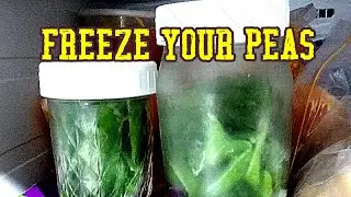 Preserving Snap and Snow Peas in the Freezer