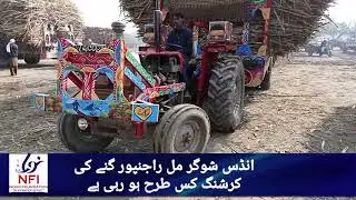 Indus sugar mill how is sugarcane farming |social special |nfi news point