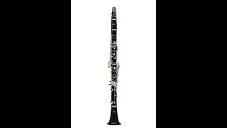 A.Galper &ndash; Clarinet method BOOK I &ndash; L 11 &ndash; č. 43 - Low Register Warm Up