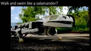 Biomimicry - Robots Inspired by Nature