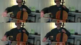 Death and the Maiden, theme