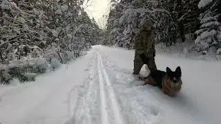 Пробежка 11.01.2026