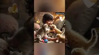 A Toddler&rsquo;s Adorable Feline Friends 🐾❤️| When the Nature meets Humanity. #animallover #kitten