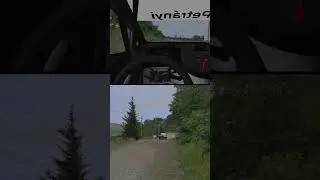 RBR РУССКИЙ ШТУРМАН Дмитрий Чумак Richard Burns Rally #vr #rbr #rally #dirtrally2 #easportswrc