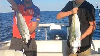 Fishing for big kingfish off Port Kembla (all fish caught was big! ! !)