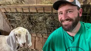 How to Build a SIMPLE Homestead Hay Feeder (IMPROVED!)