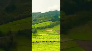Respira la magia de Terceira 🌿💫 | Azores #shorts