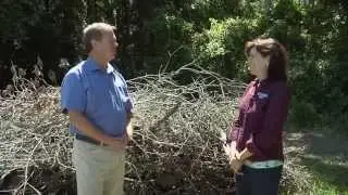 Whole Farm IPM - Habitats for Birds & Other Predators