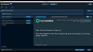 How to record your automated BDD web application tests with Test Evolve Flare