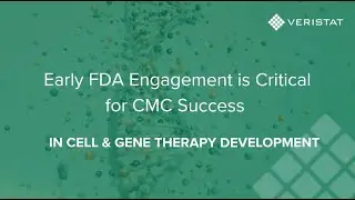 Early FDA Engagement: CMC Strategies for Cell and Gene Therapy Development
