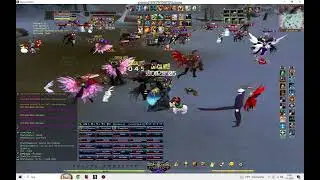 Shaiya Conflict  2026 01 07