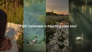 This music will erase your stress and calm your mind...