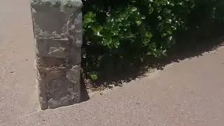 Litter bins run with a friendly driver