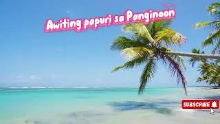Papuring Awitin sa Panginoon, Classical, Gospel Soul, Melodic, Music Remix.