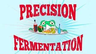 What is Precision Fermentation?