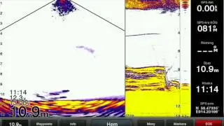 Garmin Panoptix Pike Attack1