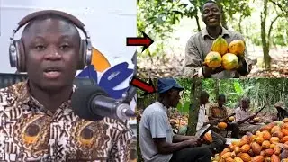 Saddick Adams Raises Concern Over Alleged Delay in Cocoa Farmers&rsquo; Payments