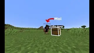 Ce DataPack rends les coffres cheat&eacute;s...
