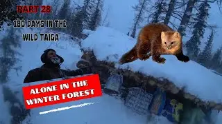 SOLITARY LIFE IN THE WINTER FOREST OF TAIGA SIBERIA