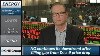 December 18 Energy Commentary: Dan Deming