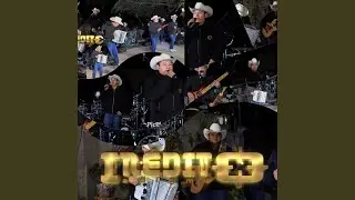 BASTA YA (Live)