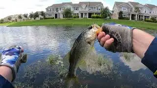 Fishing a NEW pond in Winter Garden, Florida!