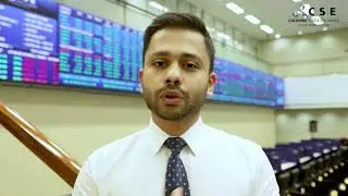 What determines the price of a share