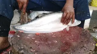 Amazing sital 🐟 fish cutting skill video... relaxing cutting sound....