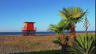 Orange lifesaving tower.Free stock video. Full HD footage Free. Rec.709 1080p 60fps #12