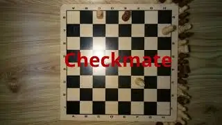 I played wizard's Chess like in Harry Potter in Stop Motion