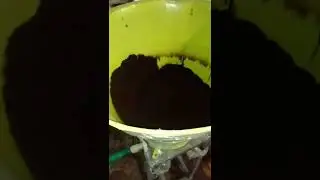 Paper pot /Mat pot machine for High tech plant nursery use .contact us ...9665944118