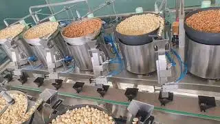 Mixed Nuts Packing Line with Vibratory Feeder, Multihead Weigher & Premade Bag Packing Machine