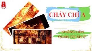 CH&Aacute;Y CH&Ugrave;A I 2023 #diy #viral #family #xuhuong #discovery