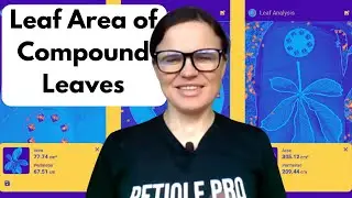 Leaf Area Measurement: Compound & Multi-Leaf in One Photo (Non-Destructive, cm&sup2;) | Petiole Pro