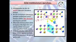 Zülallar