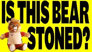 HOW A TALKING BEAR SAVED NINTENDO! - Digitiser