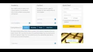 Lovely and honest broker binary options - BossCapital