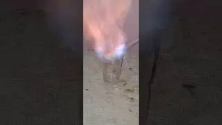 Perfume   Ke Sath Experiment || Perfume ke sath experiment kaise kare #experiment #Science