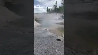 What&rsquo;s the difference between a hot spring and geyser? #shorts