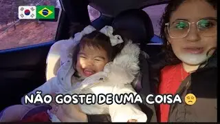 FOTOS DE NATAL EM FAMÍLIA + LUGAR PERFEITO, MAS NÃO GOSTEI DE UMA COISA... VALE A PENA?
