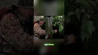 Forest Camera Install: Finding The Perfect Starter Hole! #shorts