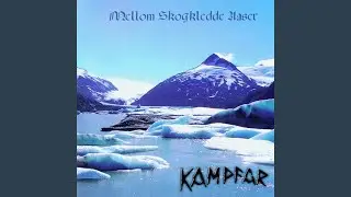 Kledd I Brynje Og Smykket Blodorm