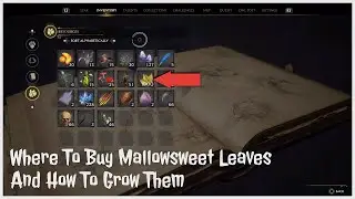 Hogwarts Legacy Where To Buy Mallowsweet Leaves And How To Grow Them