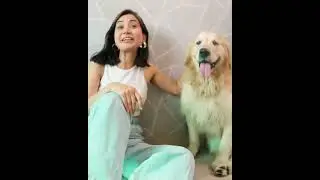 Ollie Loves PetChef