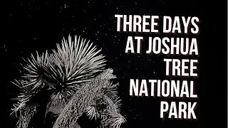 3 Days in Joshua Tree National Park